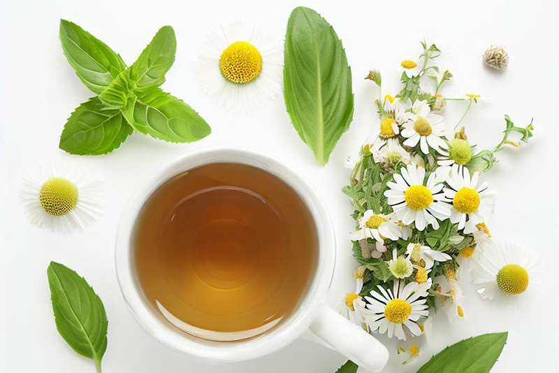 Herbal tea in a cup with herbs